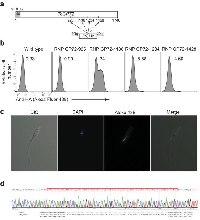 https://cdn.ncbi.nlm.nih.gov/pmc/blobs/5f64/5676044/0ac91b27a1ca/mbo0051735660005.jpg