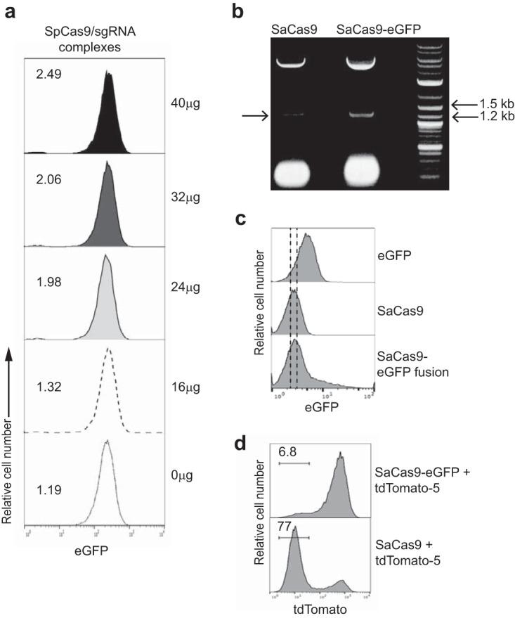 https://cdn.ncbi.nlm.nih.gov/pmc/blobs/5f64/5676044/534476eb9150/mbo0051735660002.jpg