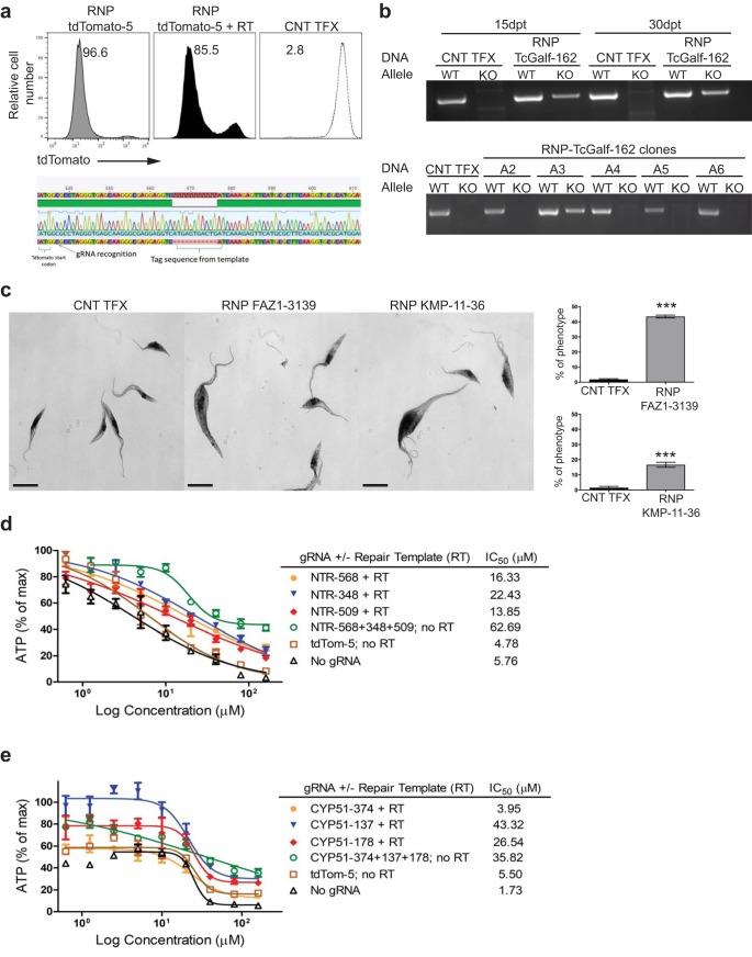 https://cdn.ncbi.nlm.nih.gov/pmc/blobs/5f64/5676044/c66269418419/mbo0051735660004.jpg