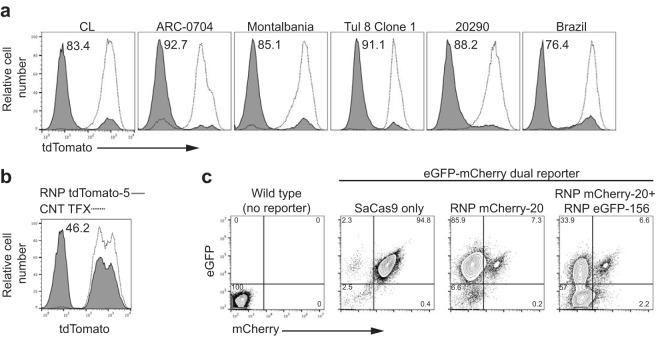 https://cdn.ncbi.nlm.nih.gov/pmc/blobs/5f64/5676044/f798986113a1/mbo0051735660003.jpg