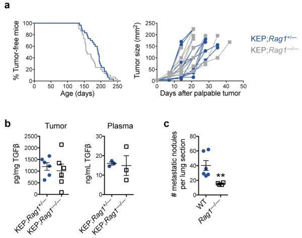https://cdn.ncbi.nlm.nih.gov/pmc/blobs/5f67/4475637/57291348851c/emss-62110-f0006.jpg