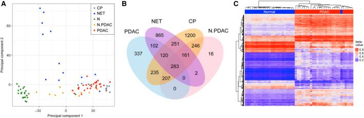 https://cdn.ncbi.nlm.nih.gov/pmc/blobs/5f67/7266283/0843eb3857f7/MOL2-14-1252-g001.jpg