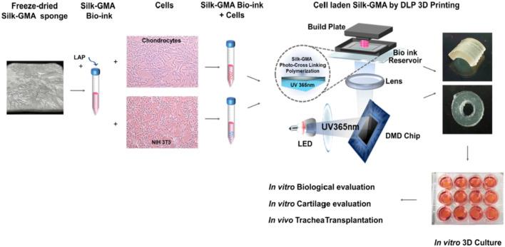 https://cdn.ncbi.nlm.nih.gov/pmc/blobs/5f68/10185897/0bd3e8808ead/fbioe-11-1199507-g009.jpg