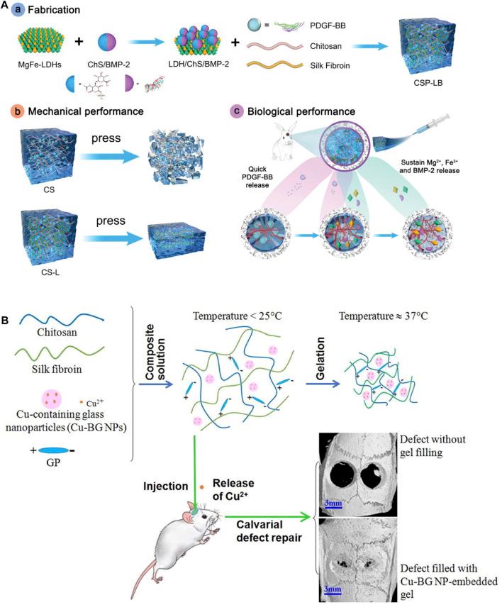 https://cdn.ncbi.nlm.nih.gov/pmc/blobs/5f68/10185897/3f617e988e21/fbioe-11-1199507-g004.jpg