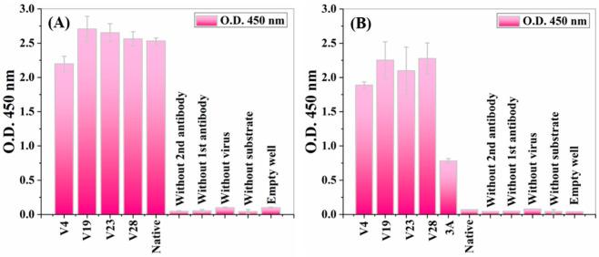 https://cdn.ncbi.nlm.nih.gov/pmc/blobs/5f68/8839290/7ea09f327697/nanomaterials-12-00398-g002.jpg