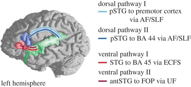 https://cdn.ncbi.nlm.nih.gov/pmc/blobs/5f6a/3367694/01d083e591fd/rstb20120103-g7.jpg