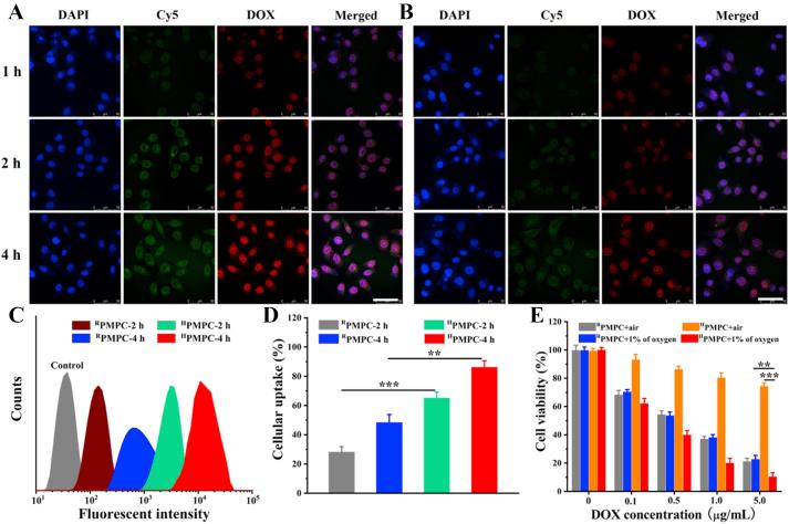 https://cdn.ncbi.nlm.nih.gov/pmc/blobs/5f6a/7893141/5bc07a1ca917/gr4.jpg