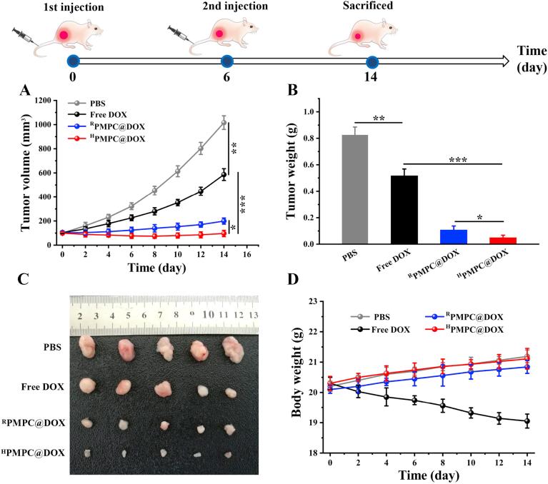 https://cdn.ncbi.nlm.nih.gov/pmc/blobs/5f6a/7893141/74e90fa695c1/gr7.jpg