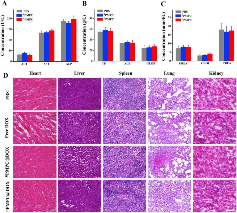 https://cdn.ncbi.nlm.nih.gov/pmc/blobs/5f6a/7893141/9dd95fa02480/gr8.jpg