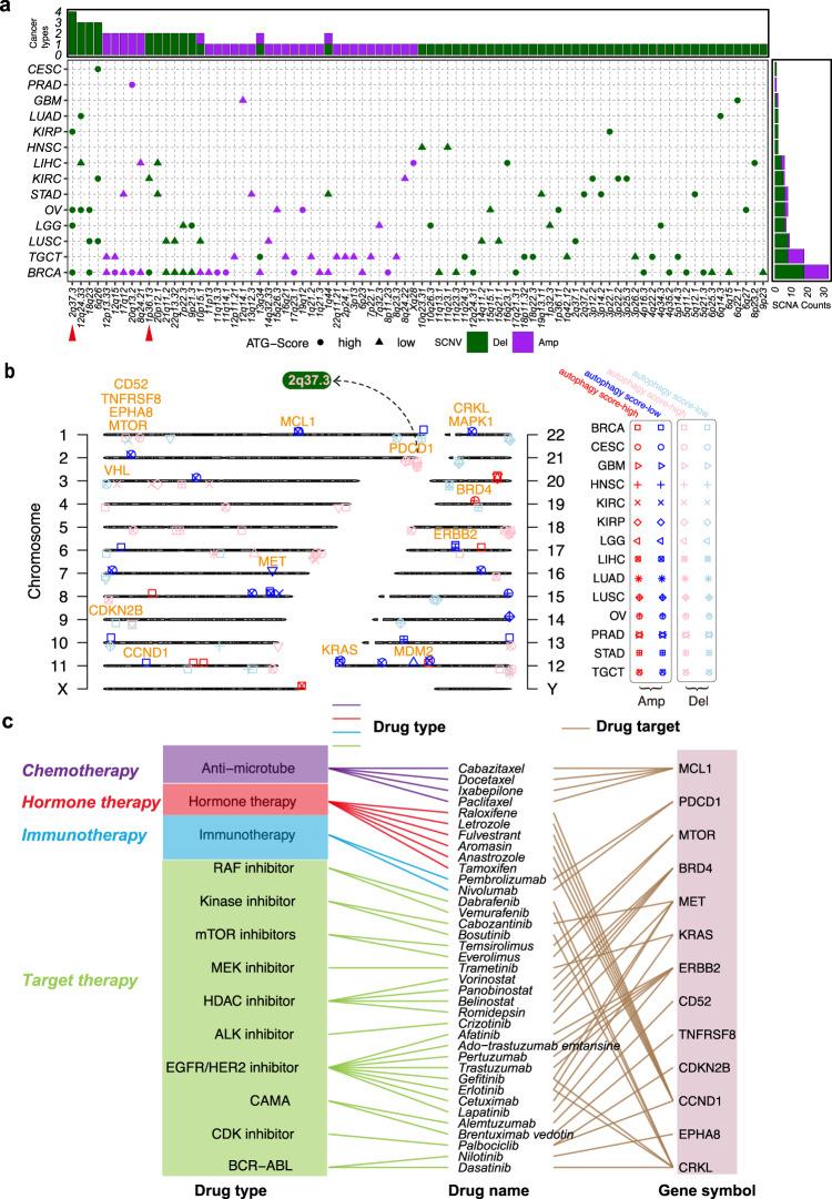 https://cdn.ncbi.nlm.nih.gov/pmc/blobs/5f6b/9606020/83d8aededec0/41467_2022_33946_Fig5_HTML.jpg