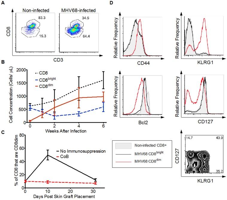 https://cdn.ncbi.nlm.nih.gov/pmc/blobs/5f6e/3733932/f466b606e152/pone.0071221.g003.jpg