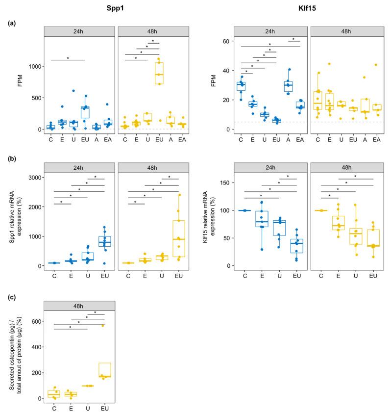 https://cdn.ncbi.nlm.nih.gov/pmc/blobs/5f6e/9222111/364d060bb169/cells-11-01936-g006.jpg