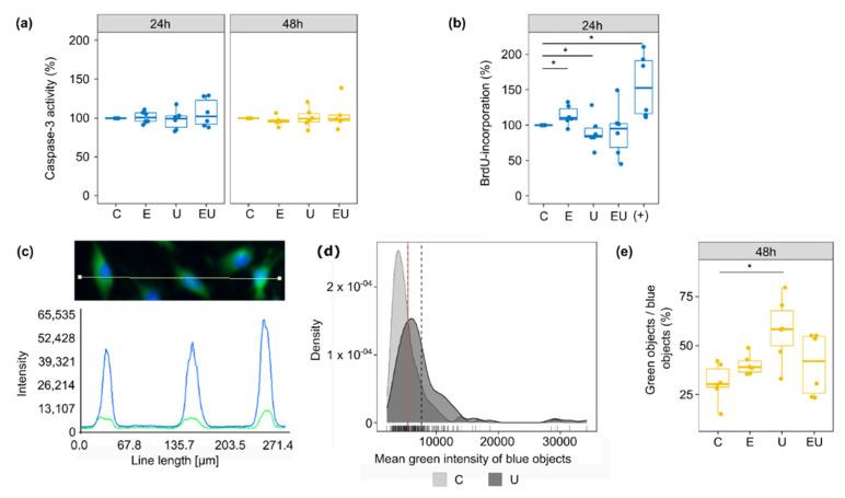 https://cdn.ncbi.nlm.nih.gov/pmc/blobs/5f6e/9222111/595f01541167/cells-11-01936-g005.jpg