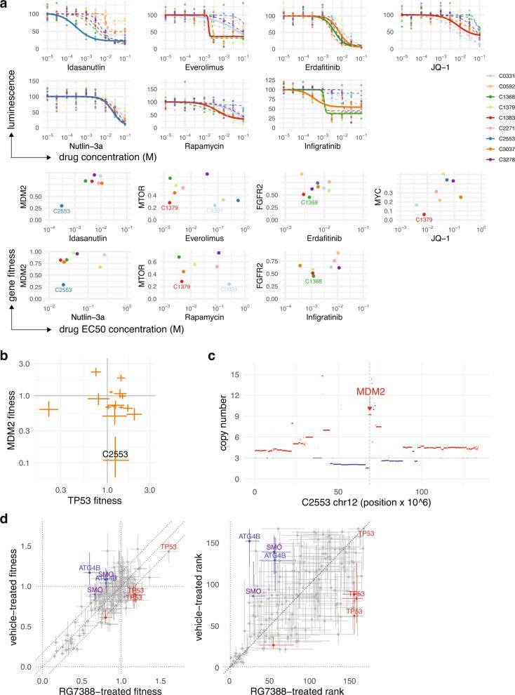 https://cdn.ncbi.nlm.nih.gov/pmc/blobs/5f73/9352714/bac990bbfa78/41467_2022_31830_Fig7_HTML.jpg