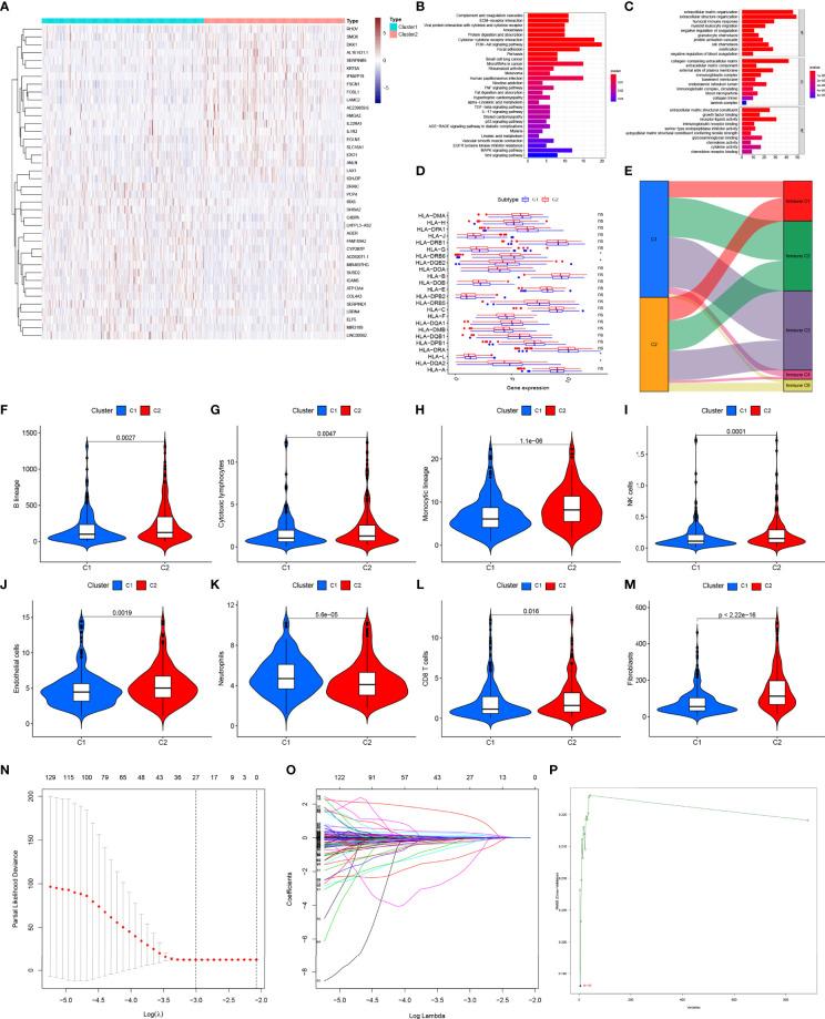 https://cdn.ncbi.nlm.nih.gov/pmc/blobs/5f77/9178173/7cd78a7efb1a/fimmu-13-872387-g002.jpg