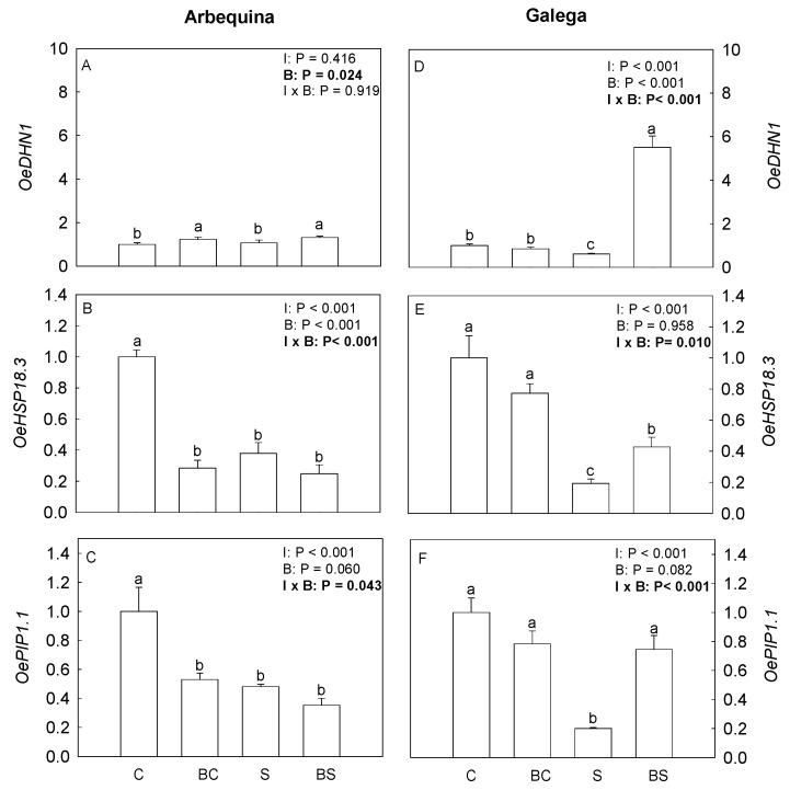 https://cdn.ncbi.nlm.nih.gov/pmc/blobs/5f78/11511455/a169de0b155a/plants-13-02908-g006.jpg