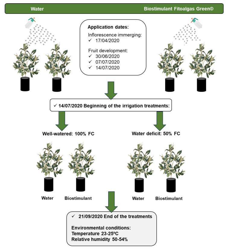 https://cdn.ncbi.nlm.nih.gov/pmc/blobs/5f78/11511455/bbd1bf0e8442/plants-13-02908-g008.jpg