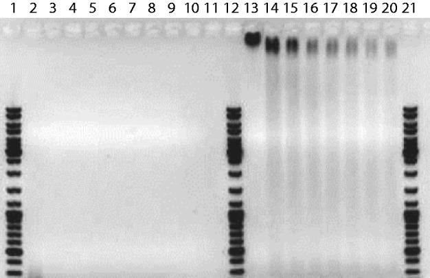 https://cdn.ncbi.nlm.nih.gov/pmc/blobs/5f78/3814371/265eaa344d8a/gkt783f2p.jpg
