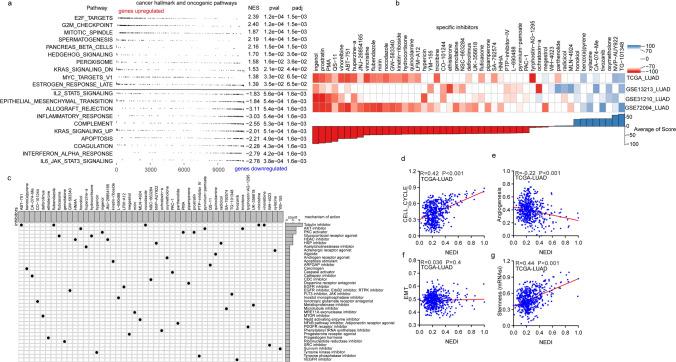 https://cdn.ncbi.nlm.nih.gov/pmc/blobs/5f79/10195954/0aa75f7dfb71/12672_2023_693_Fig4_HTML.jpg