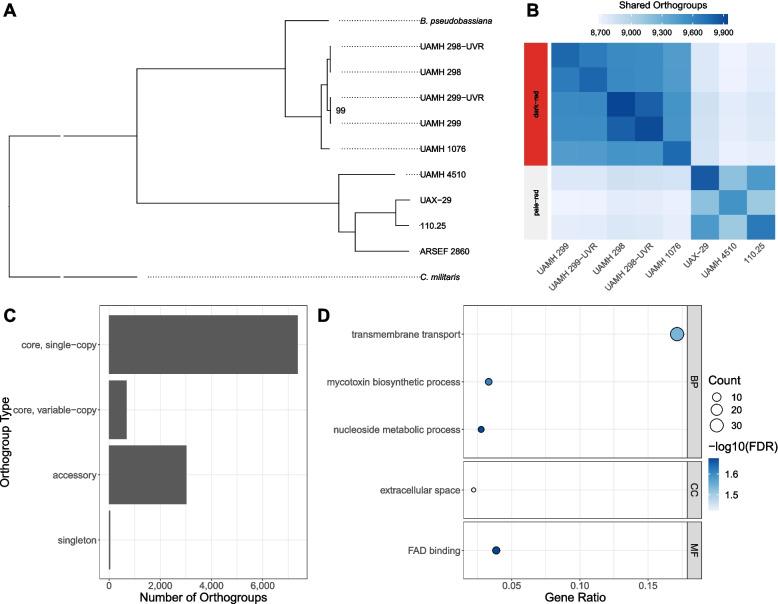 https://cdn.ncbi.nlm.nih.gov/pmc/blobs/5f79/10334655/a50c7cac8b4c/12864_2023_9473_Fig1_HTML.jpg