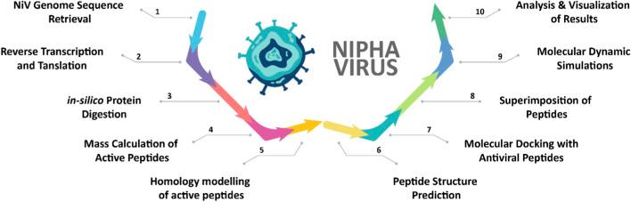https://cdn.ncbi.nlm.nih.gov/pmc/blobs/5f79/12238059/958911505fdd/fbinf-05-1526566-g001.jpg