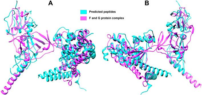 https://cdn.ncbi.nlm.nih.gov/pmc/blobs/5f79/12238059/d302aaae85e9/fbinf-05-1526566-g006.jpg