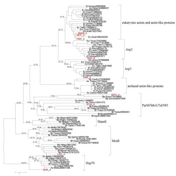 https://cdn.ncbi.nlm.nih.gov/pmc/blobs/5f79/2651865/af34e34f083d/1745-6150-4-9-1.jpg