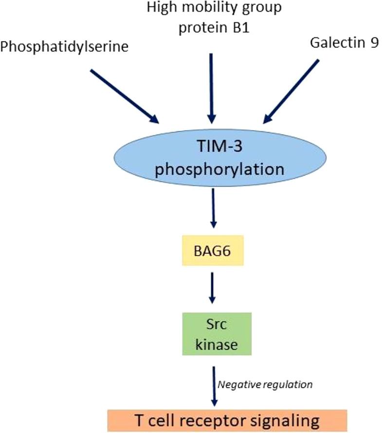 https://cdn.ncbi.nlm.nih.gov/pmc/blobs/5f79/9552217/af8f944ec078/fonc-12-1014156-g003.jpg