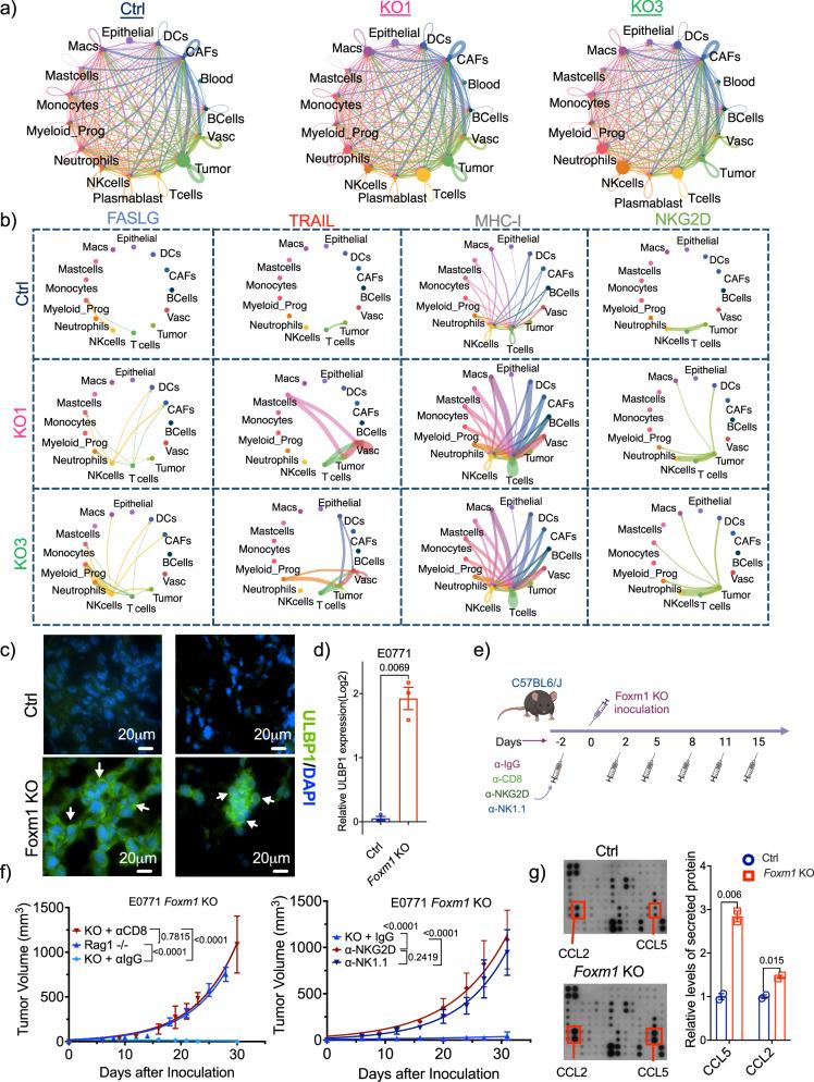 https://cdn.ncbi.nlm.nih.gov/pmc/blobs/5f7c/12037779/a9a89fc3001e/41467_2025_59186_Fig4_HTML.jpg