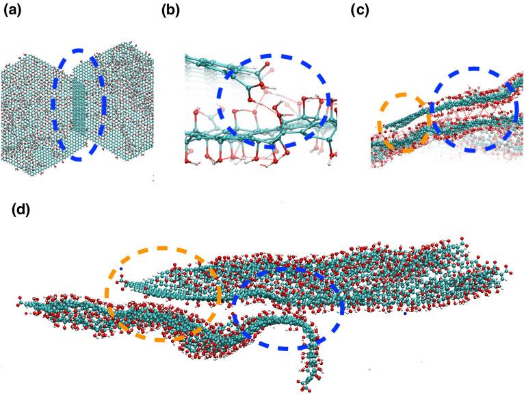 https://cdn.ncbi.nlm.nih.gov/pmc/blobs/5f7d/8599484/ba19adf1f63a/41598_2021_1626_Fig5_HTML.jpg