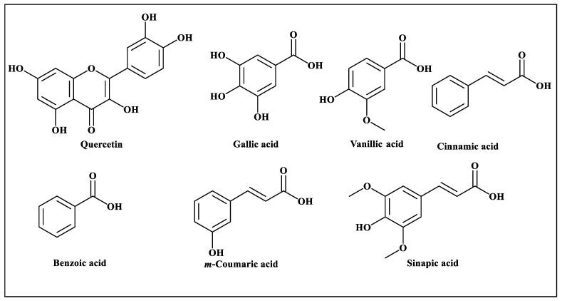 https://cdn.ncbi.nlm.nih.gov/pmc/blobs/5f7d/9854966/66b7ab81cfe4/antioxidants-12-00119-g001.jpg