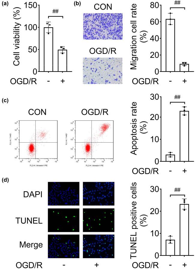 https://cdn.ncbi.nlm.nih.gov/pmc/blobs/5f7e/10997142/333fffd21689/j_biol-2022-0829-fig002.jpg