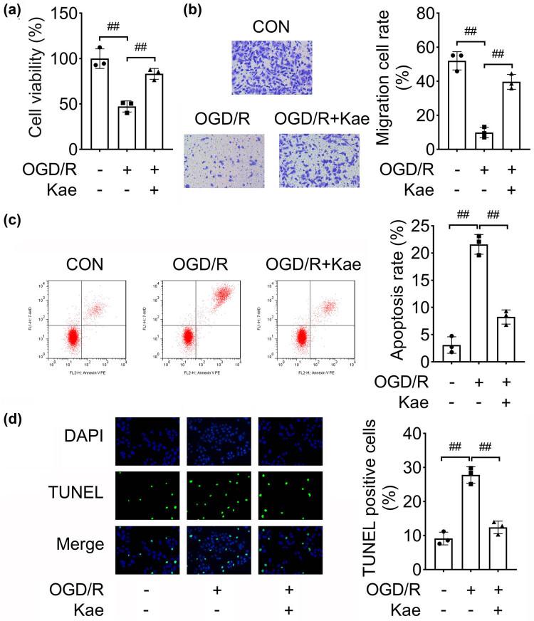 https://cdn.ncbi.nlm.nih.gov/pmc/blobs/5f7e/10997142/9e1387693b02/j_biol-2022-0829-fig003.jpg