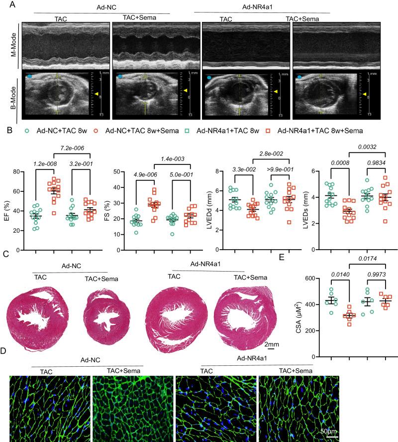 https://cdn.ncbi.nlm.nih.gov/pmc/blobs/5f80/11150406/0864792ada0d/41467_2024_48970_Fig8_HTML.jpg