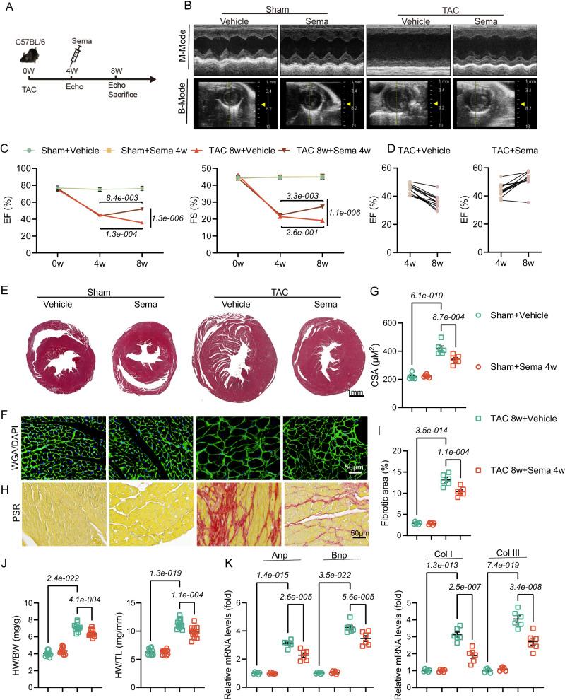 https://cdn.ncbi.nlm.nih.gov/pmc/blobs/5f80/11150406/2a553826fd87/41467_2024_48970_Fig2_HTML.jpg