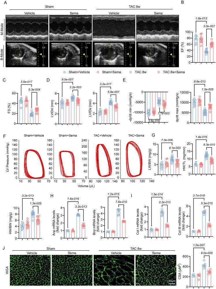 https://cdn.ncbi.nlm.nih.gov/pmc/blobs/5f80/11150406/2ecba56e692e/41467_2024_48970_Fig1_HTML.jpg