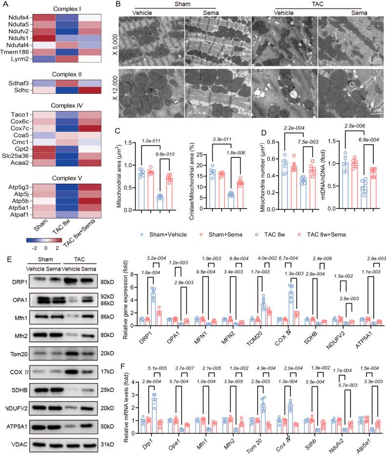 https://cdn.ncbi.nlm.nih.gov/pmc/blobs/5f80/11150406/e2b11d0d3fb8/41467_2024_48970_Fig3_HTML.jpg