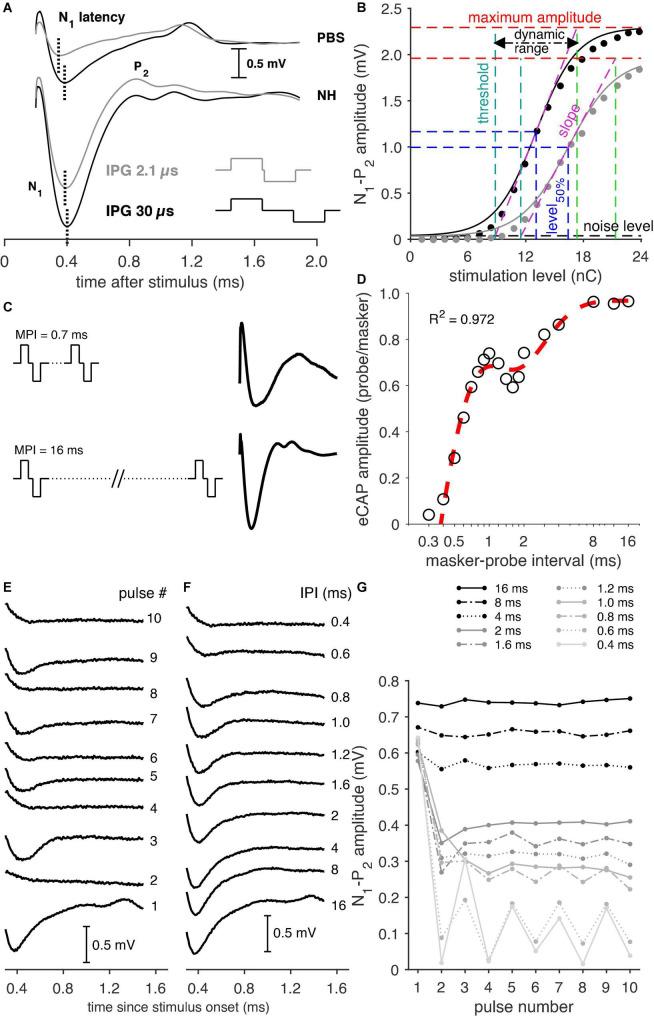 https://cdn.ncbi.nlm.nih.gov/pmc/blobs/5f80/9549372/0c063d48c8de/fnmol-15-935111-g001.jpg
