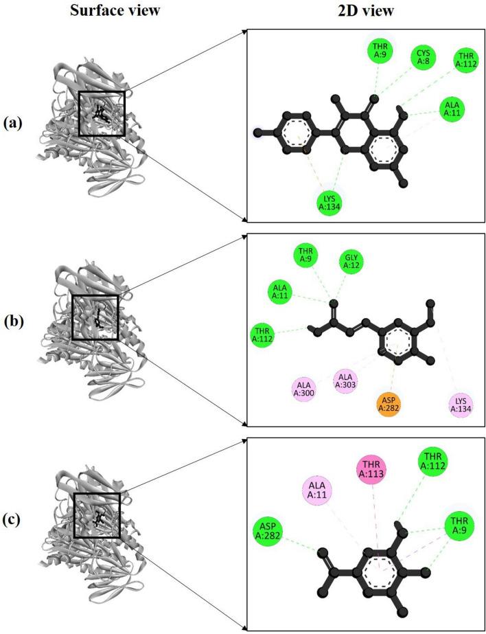 https://cdn.ncbi.nlm.nih.gov/pmc/blobs/5f83/10590439/7a6a897d3376/41598_2023_45030_Fig4_HTML.jpg