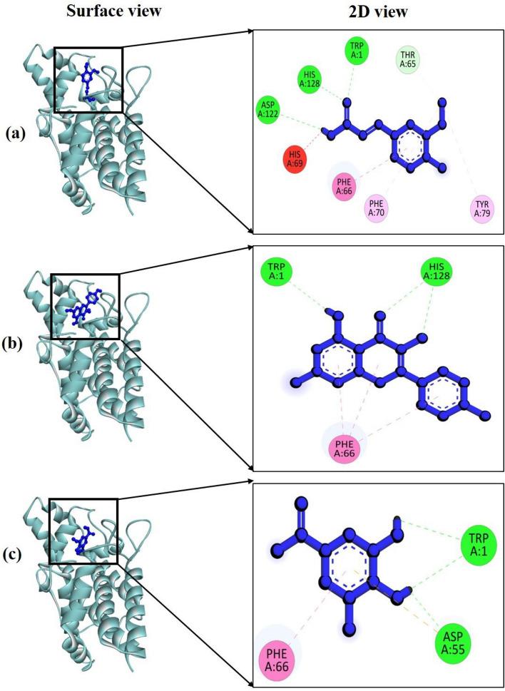 https://cdn.ncbi.nlm.nih.gov/pmc/blobs/5f83/10590439/f8f52c0e2cff/41598_2023_45030_Fig5_HTML.jpg