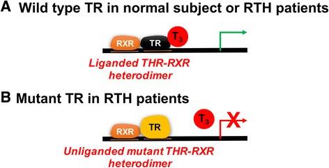 https://cdn.ncbi.nlm.nih.gov/pmc/blobs/5f83/5603052/435715f3238d/40842_2017_46_Fig4_HTML.jpg