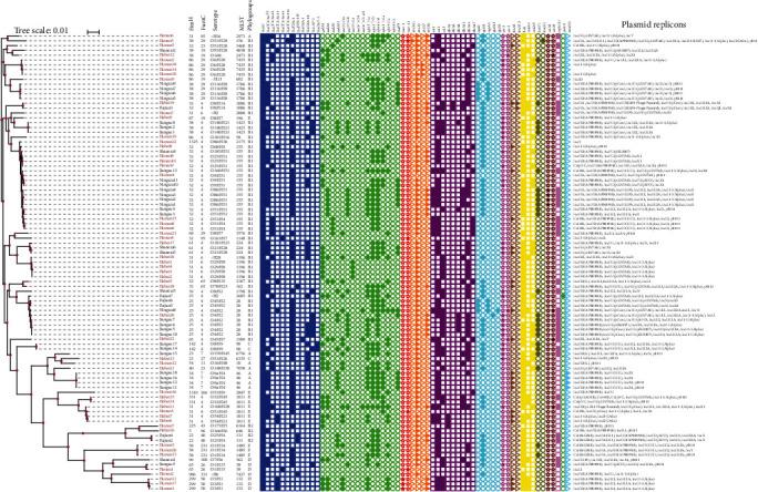 https://cdn.ncbi.nlm.nih.gov/pmc/blobs/5f84/12017244/406fa9e0bc62/TBED2024-1828830.003.jpg