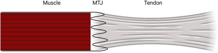 https://cdn.ncbi.nlm.nih.gov/pmc/blobs/5f86/10091713/8183176c97c8/SMS-33-136-g001.jpg