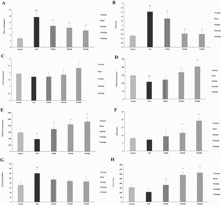 https://cdn.ncbi.nlm.nih.gov/pmc/blobs/5f87/4724128/21247119e70c/12906_2016_1001_Fig4_HTML.jpg