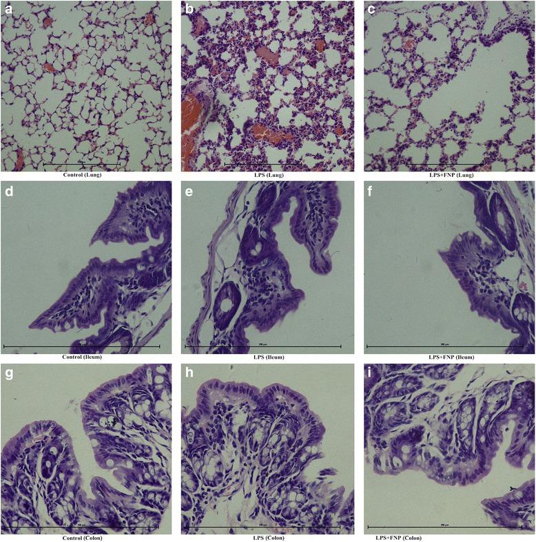 https://cdn.ncbi.nlm.nih.gov/pmc/blobs/5f87/4724128/707328fcd870/12906_2016_1001_Fig2_HTML.jpg
