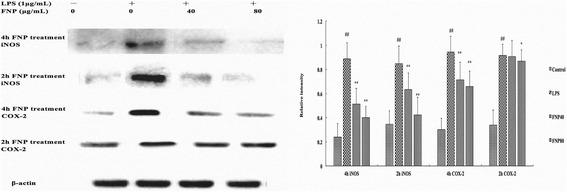 https://cdn.ncbi.nlm.nih.gov/pmc/blobs/5f87/4724128/addb77029a13/12906_2016_1001_Fig7_HTML.jpg