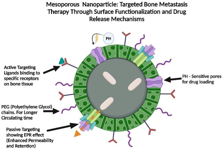 https://cdn.ncbi.nlm.nih.gov/pmc/blobs/5f88/12115183/1b56c94b8ec6/pharmaceutics-17-00603-g004.jpg