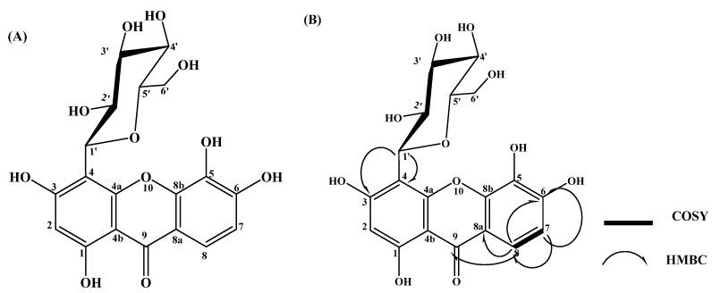 https://cdn.ncbi.nlm.nih.gov/pmc/blobs/5f89/9105941/e0e836b40c6c/molecules-27-02609-g001.jpg