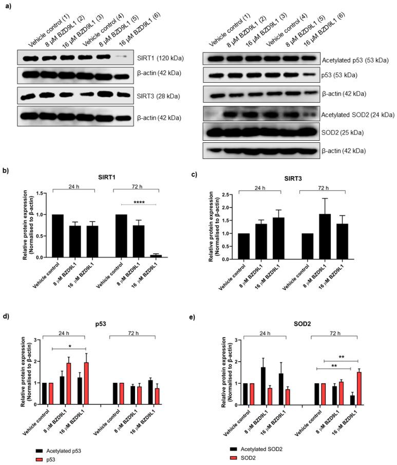 https://cdn.ncbi.nlm.nih.gov/pmc/blobs/5f8a/10669747/d7c8da53b344/biomedicines-11-03059-g003.jpg