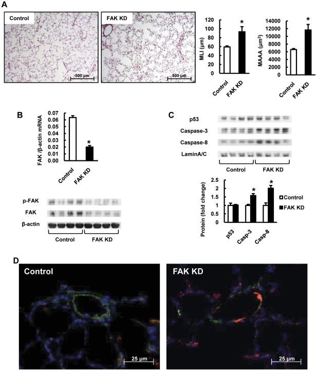 https://cdn.ncbi.nlm.nih.gov/pmc/blobs/5f8b/3262830/a10e1bc31d51/pone.0030678.g007.jpg